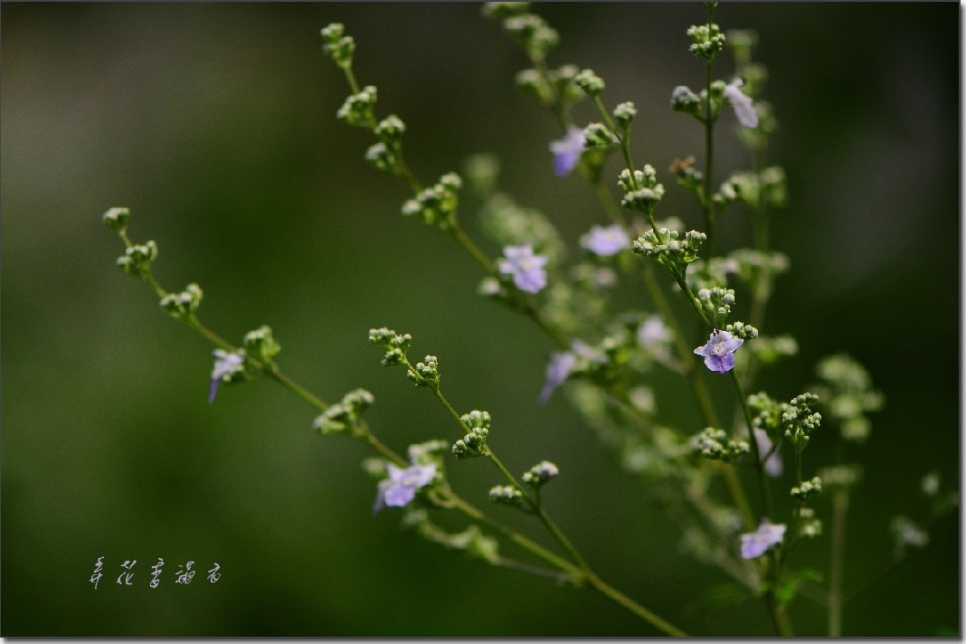 青州行 057_conew1.jpg
