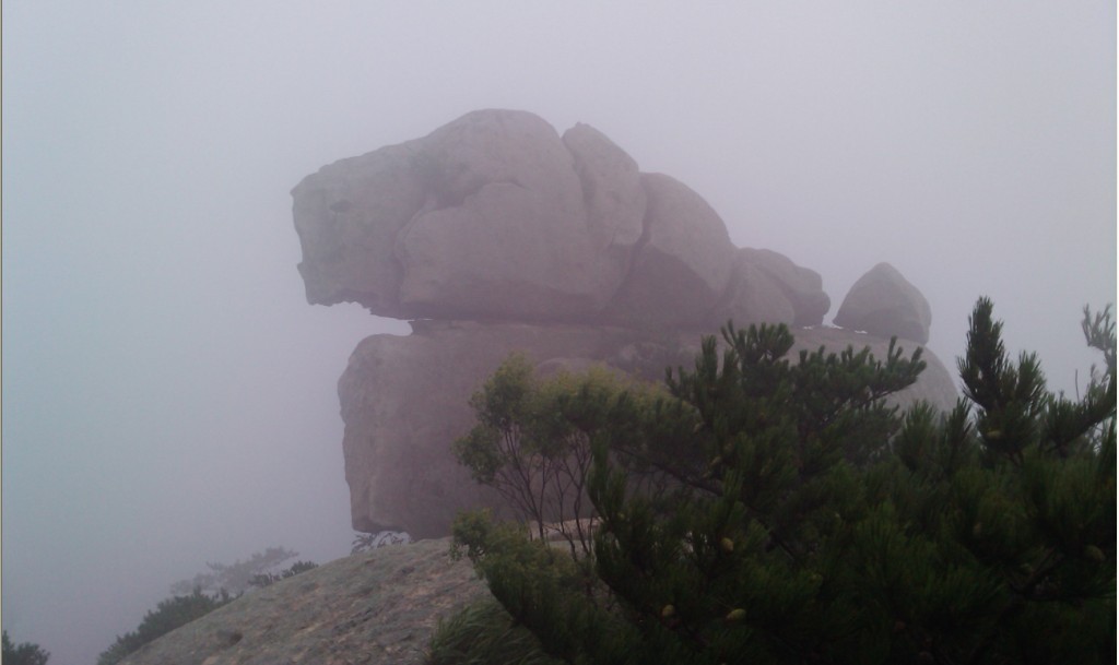 醒狮龙蟠-3.jpg