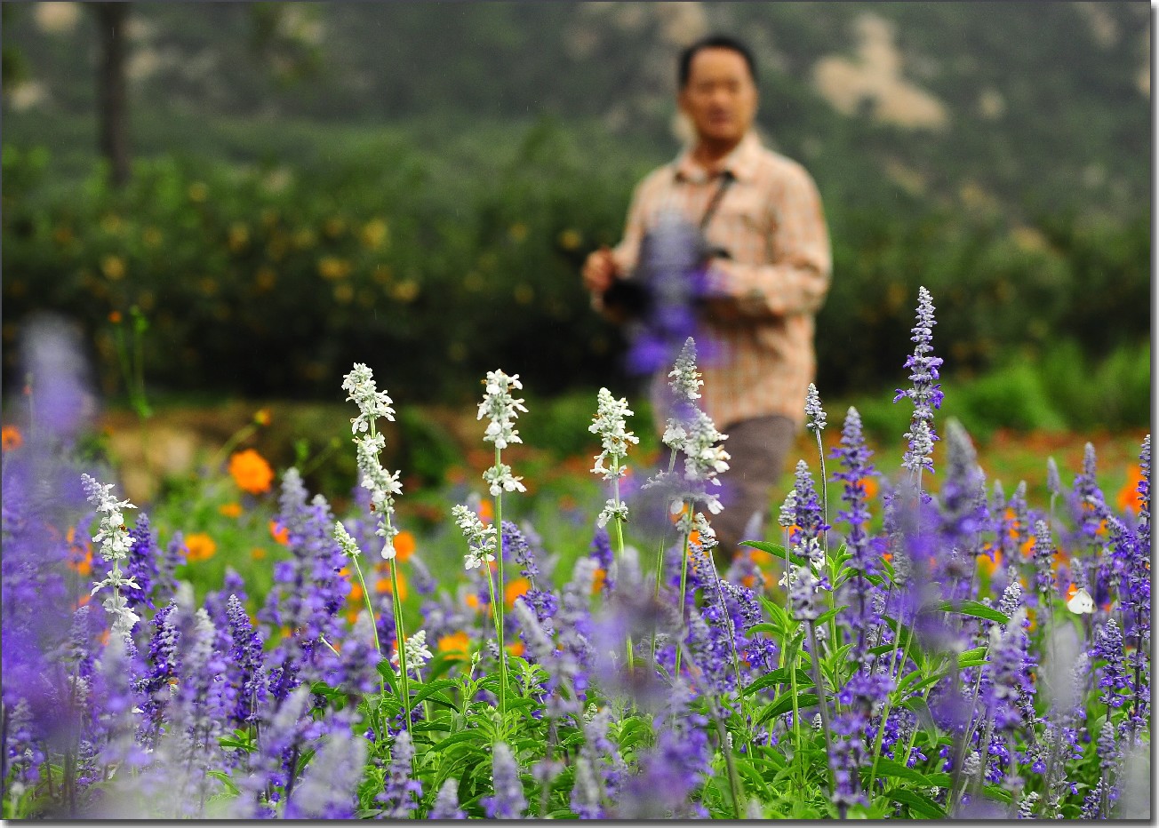 七月山花开 (835).jpg