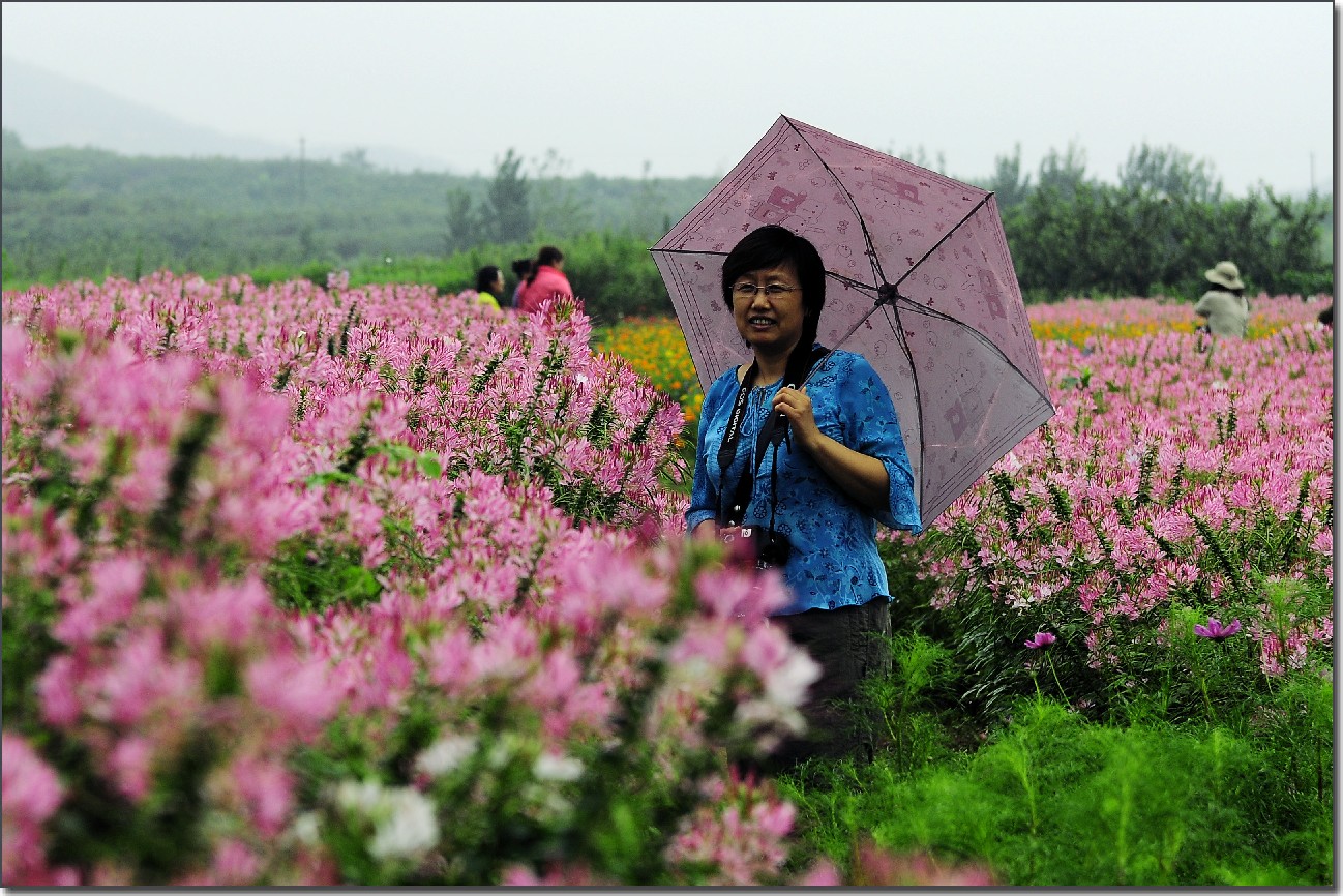 七月山花开 (743).jpg