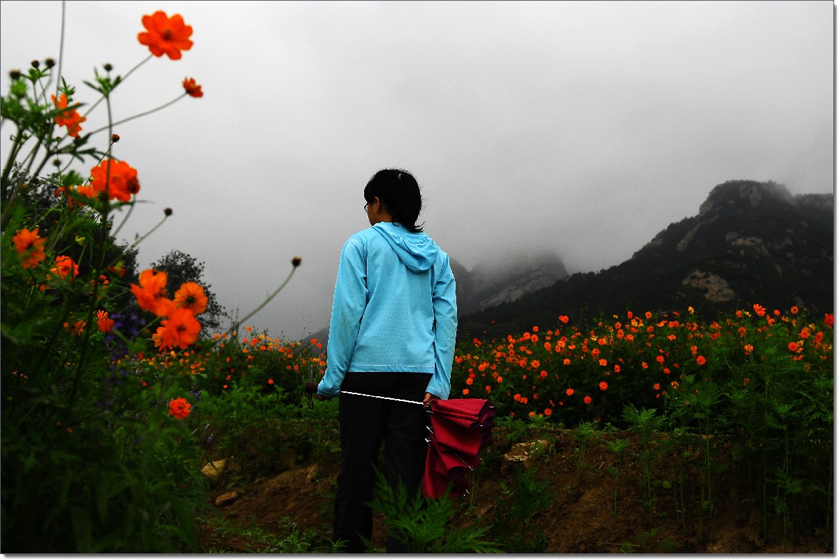 七月山花开 (857).jpg