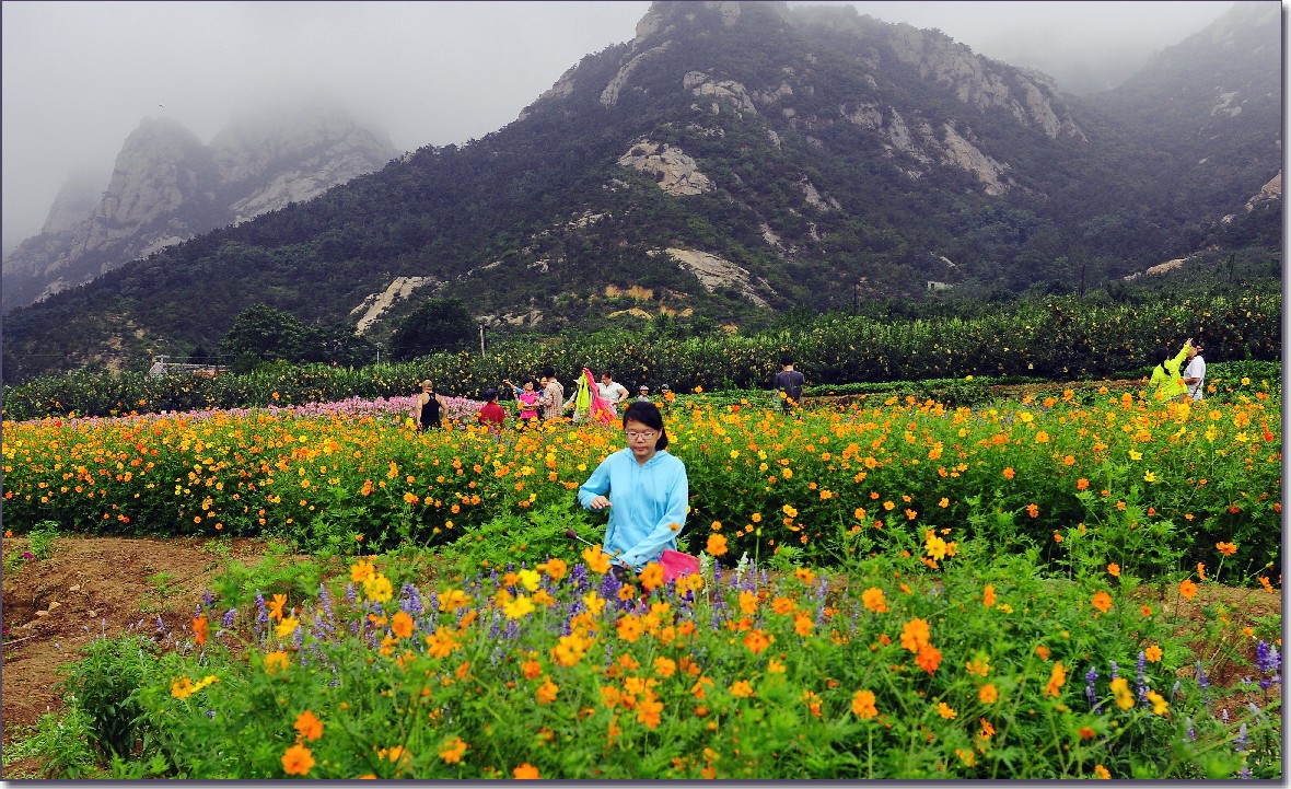 七月山花开 (851).jpg