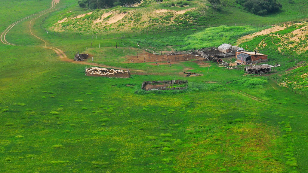 DSC_5519.jpg