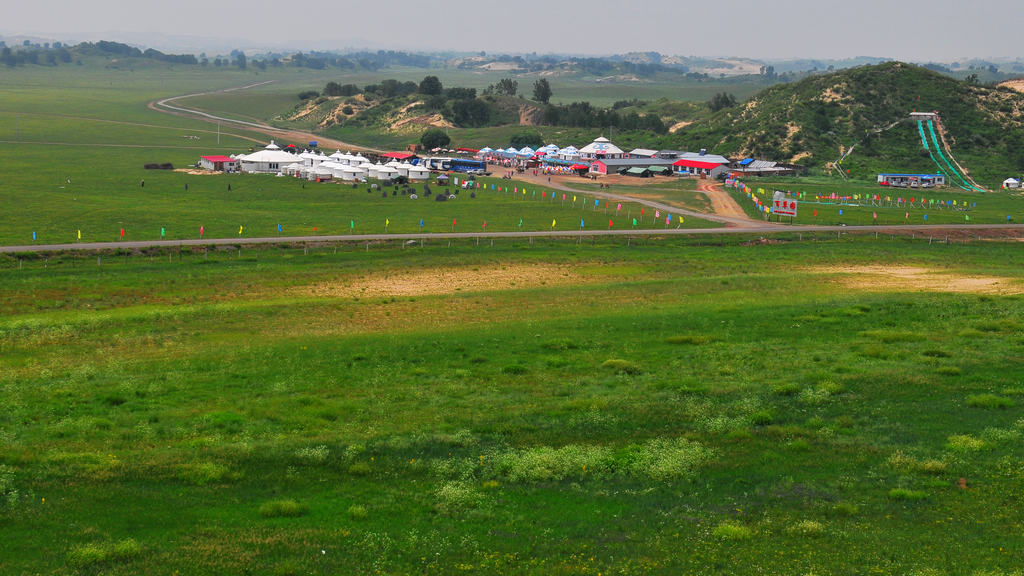DSC_5655.jpg