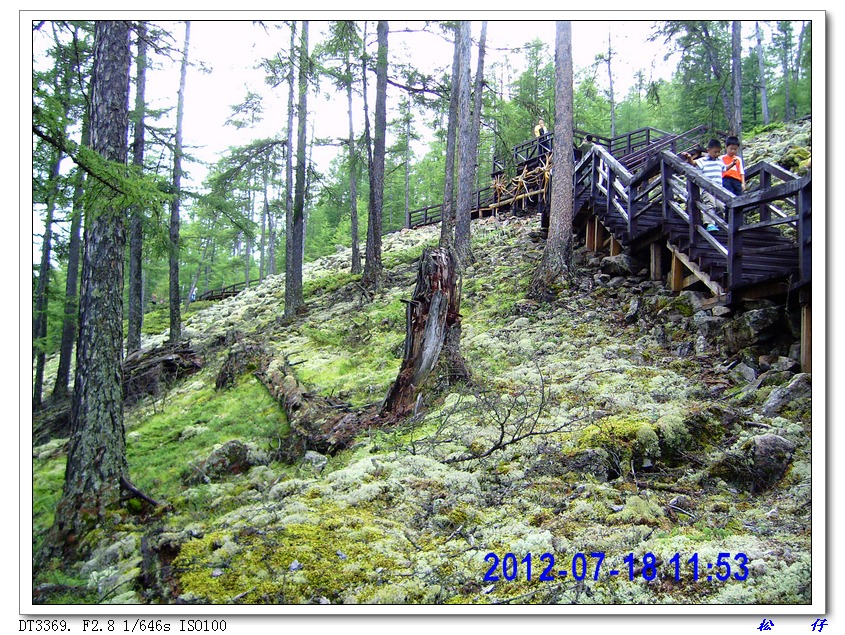 PICT0714.jpg