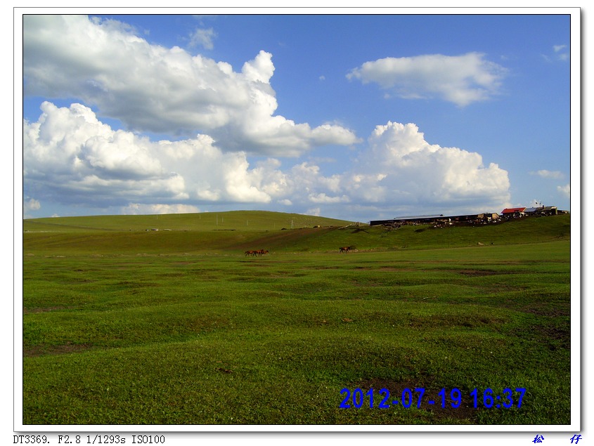 PICT1003.jpg