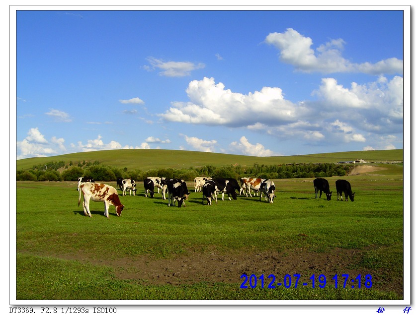 PICT1033.jpg