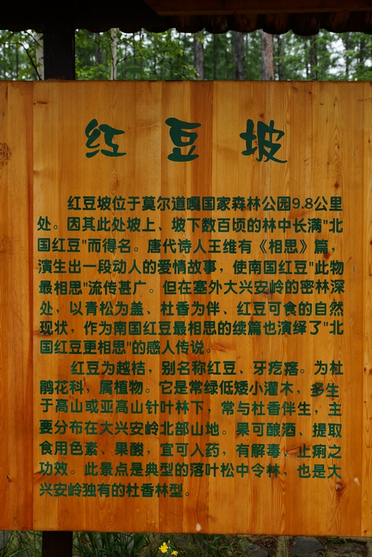 nEO_IMG_DSC01304.jpg
