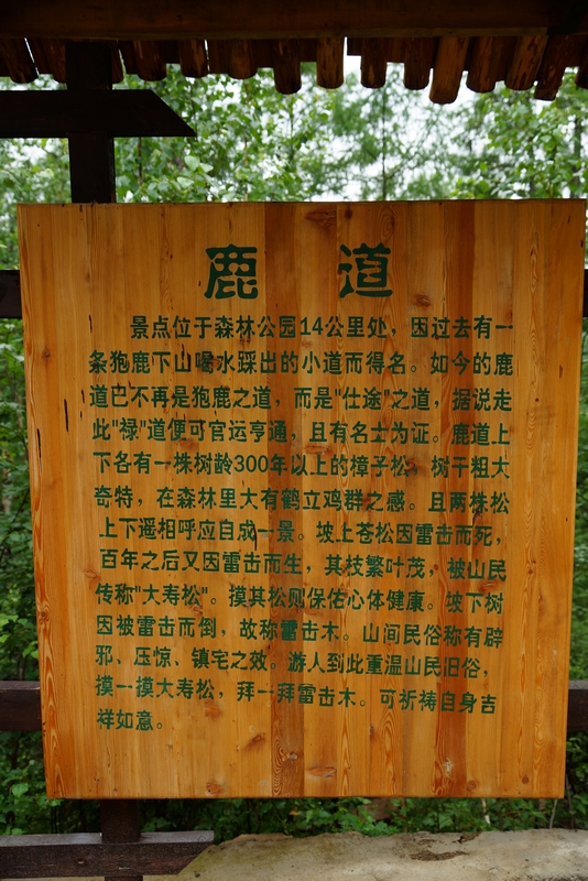 nEO_IMG_DSC01306.jpg