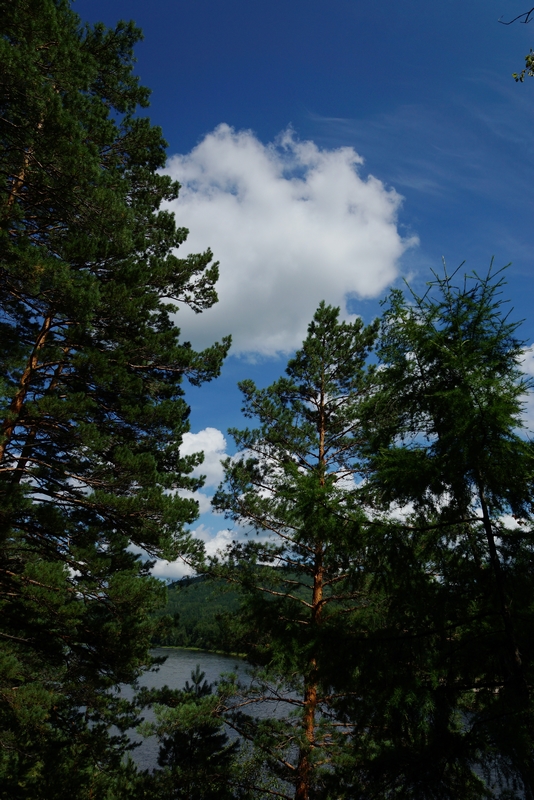 nEO_IMG_DSC01355.jpg