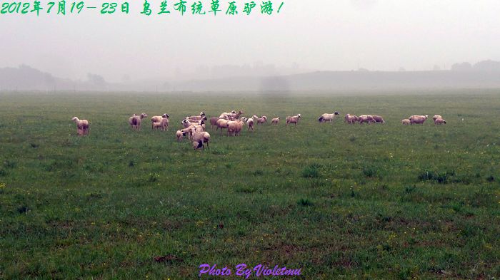 376.jpg