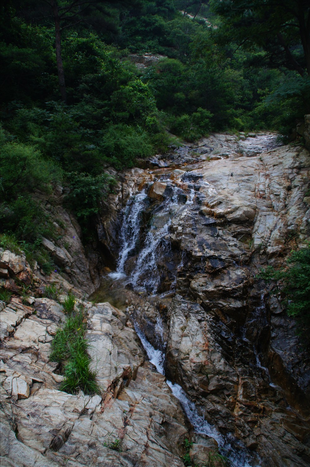 DSC01259.JPG