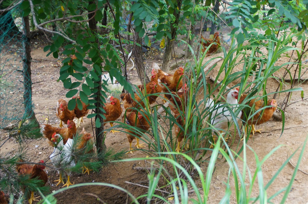 DSC01285.JPG
