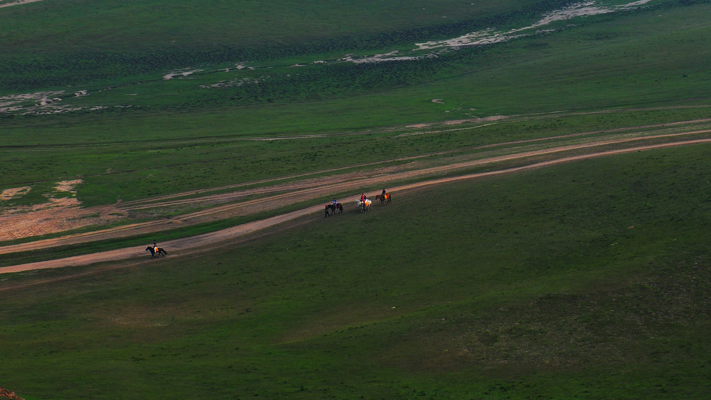 DSC_5779.jpg