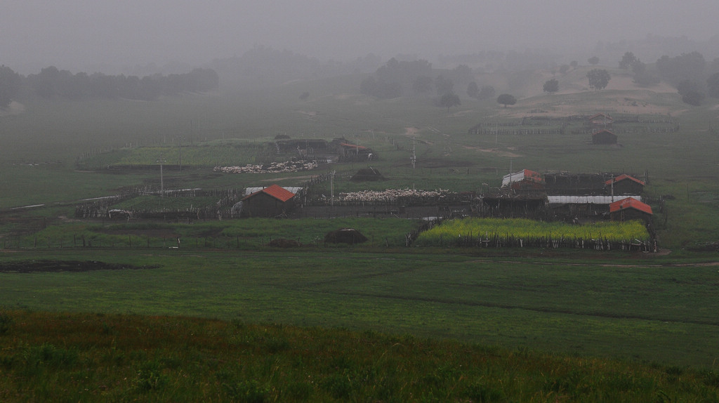 DSC_5829.jpg