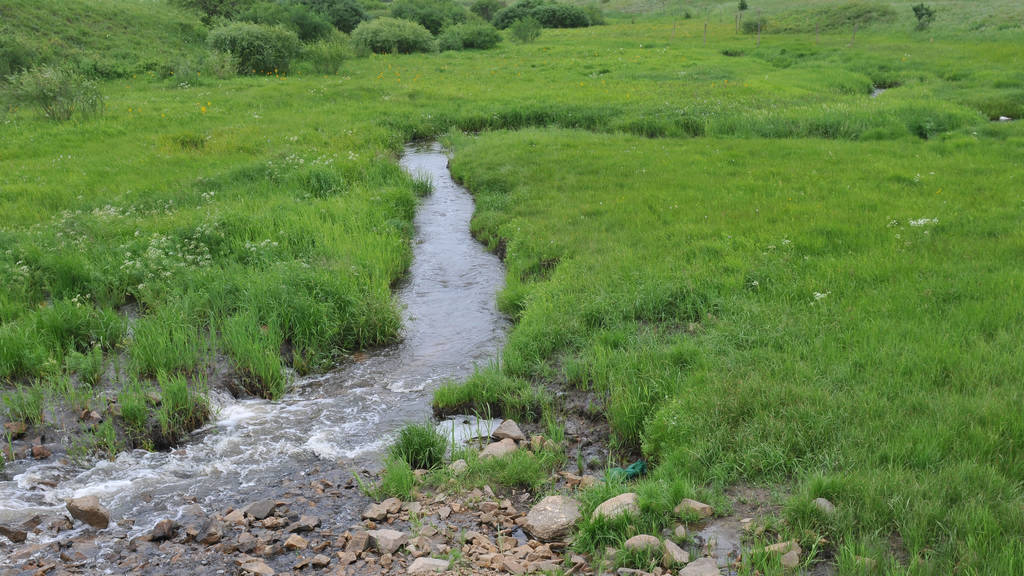DSC_6288.jpg