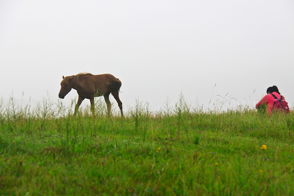 _MG_3137.JPG