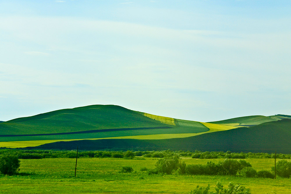 _MG_2432j.jpg