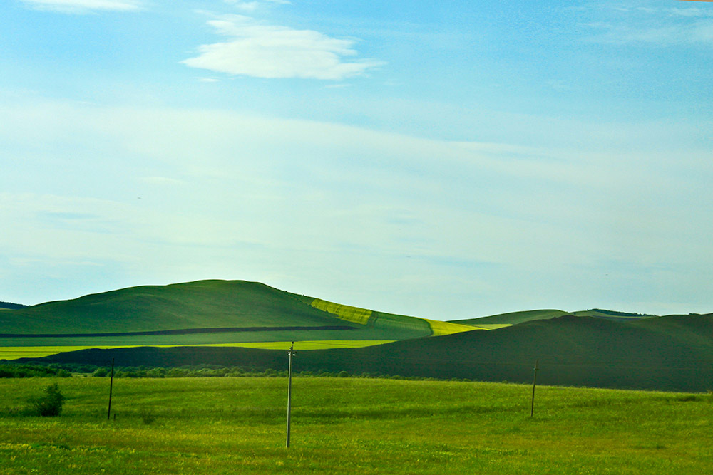 _MG_2433g.jpg