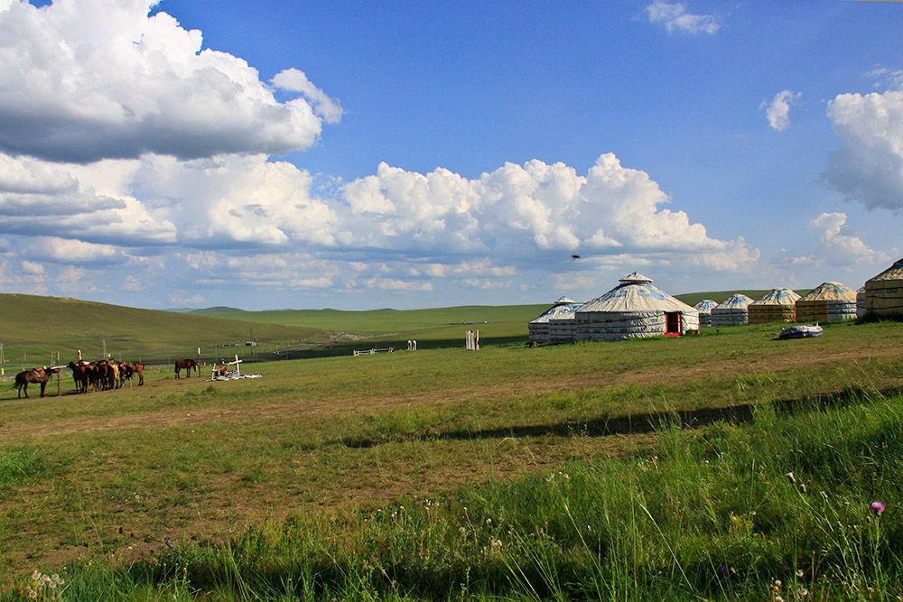 _MG_3300.JPG