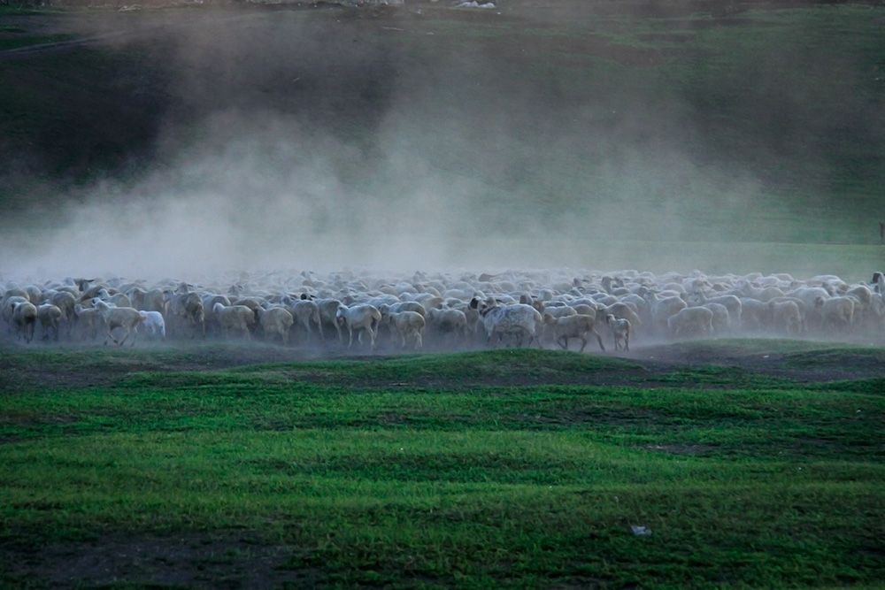 _MG_3487.JPG