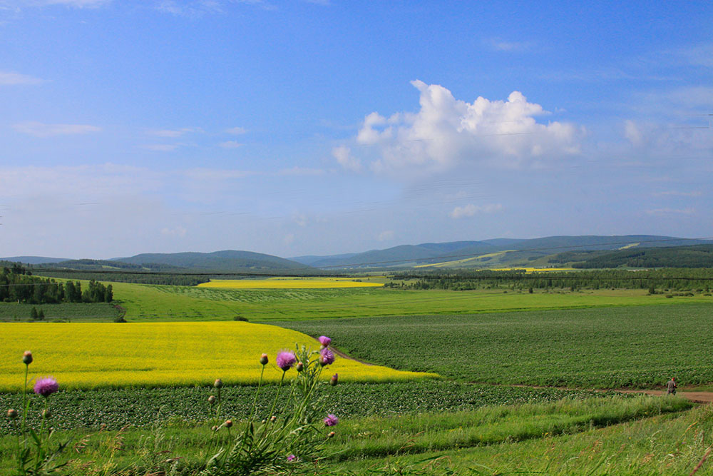 _MG_4026.JPG