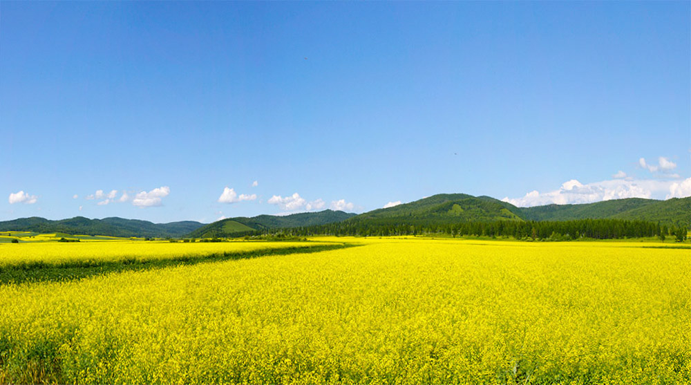 未标题_全景图1a.jpg