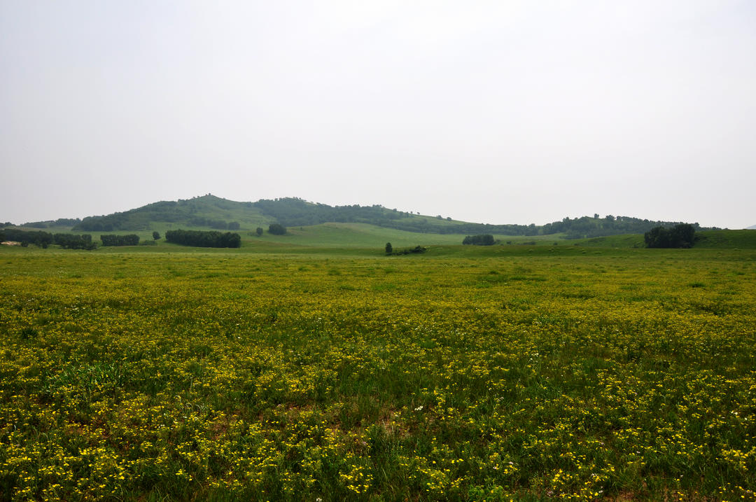 乌兰布统草原 285_光影_1.jpg