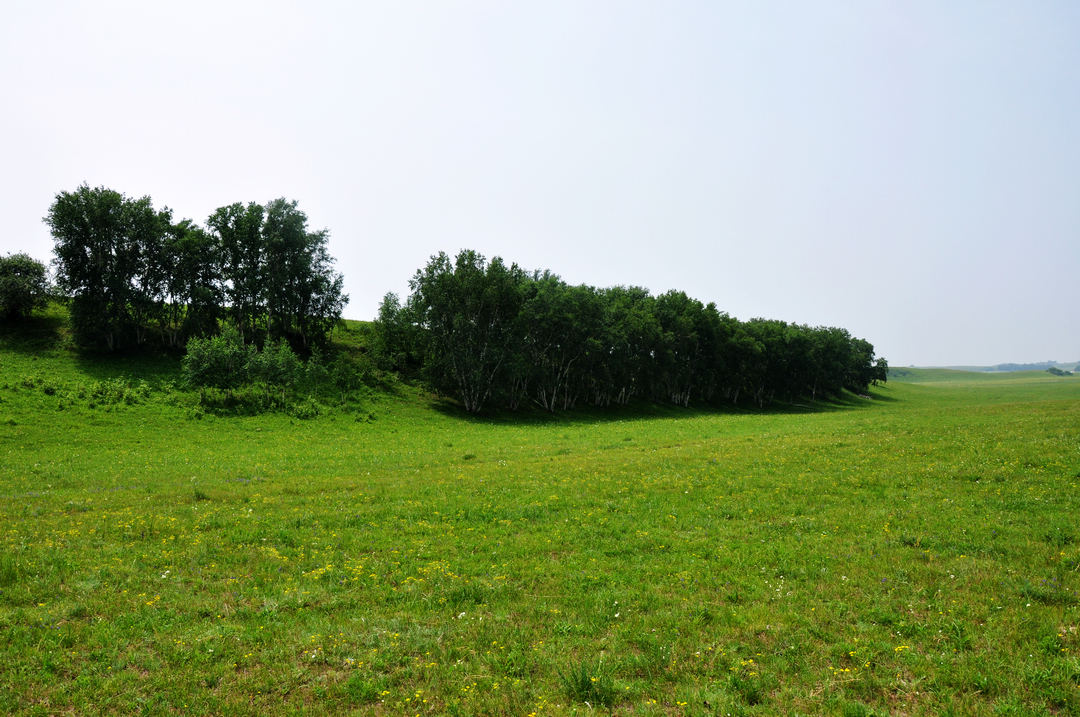 乌兰布统草原 268_光影_1.jpg