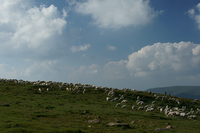 DSC08466‘.JPG