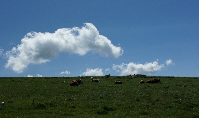 DSC08076‘.JPG