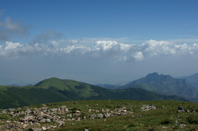 DSC08024‘.JPG