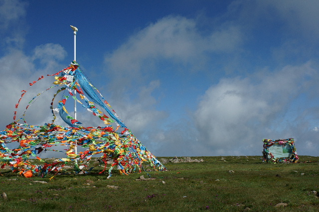 DSC07978‘.JPG