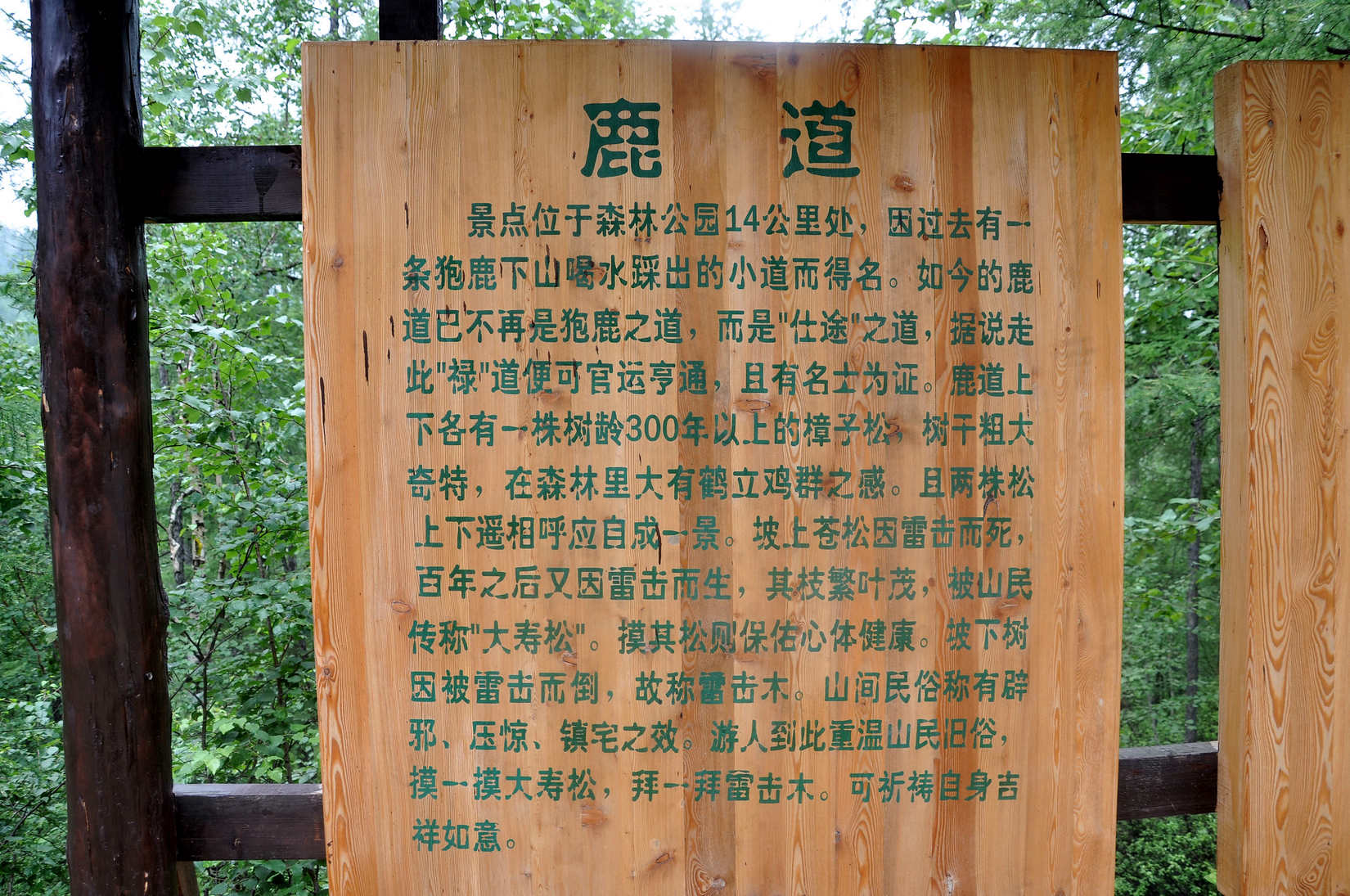 nEO_IMG_DSC_6286.jpg