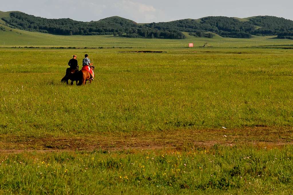 DSC_6804.jpg