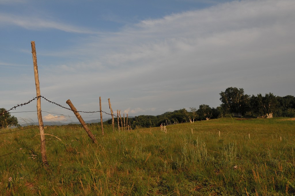 DSC_6837.jpg
