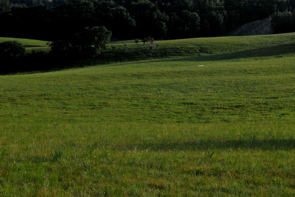 DSC_6856.jpg