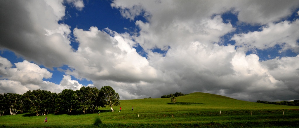 DSC_7247.jpg