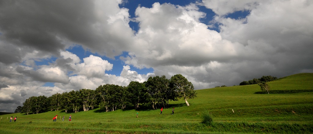 DSC_7246.jpg