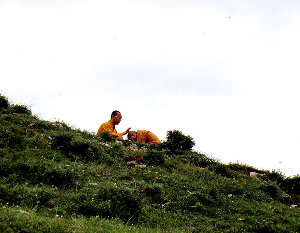 DSC01415_副本_副本.jpg