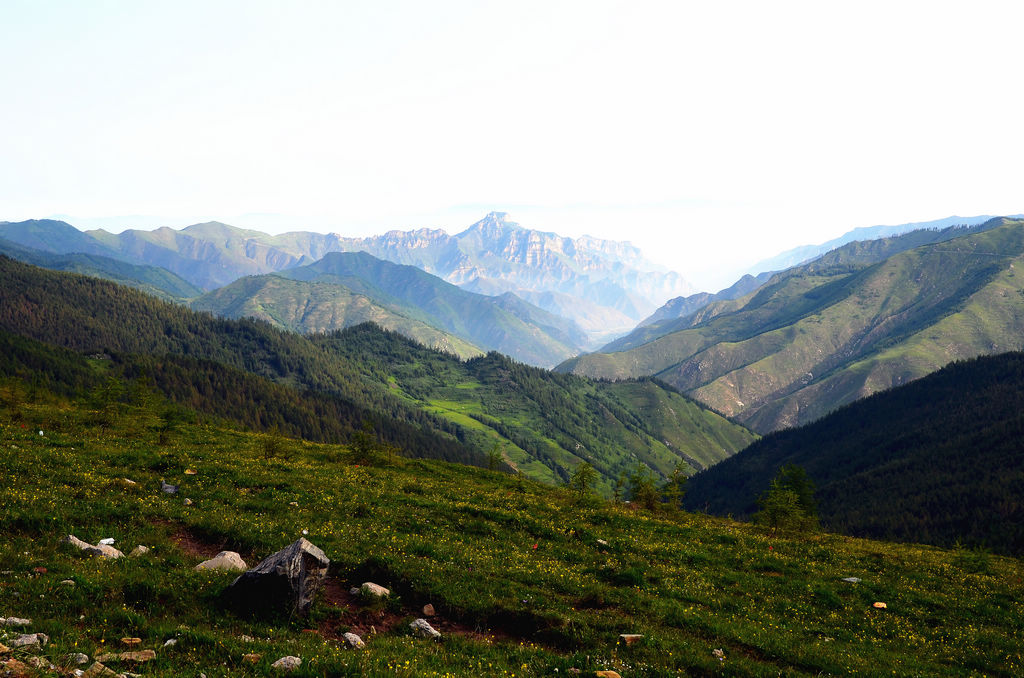 DSC_0307_副本.jpg