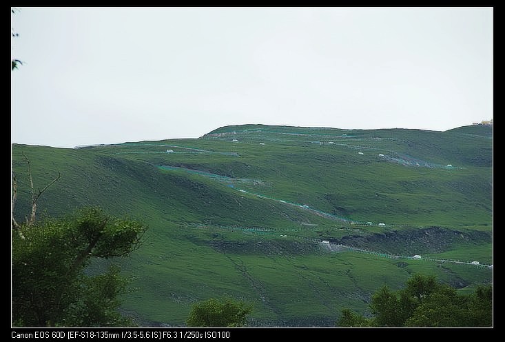 conew_img_2042.jpg