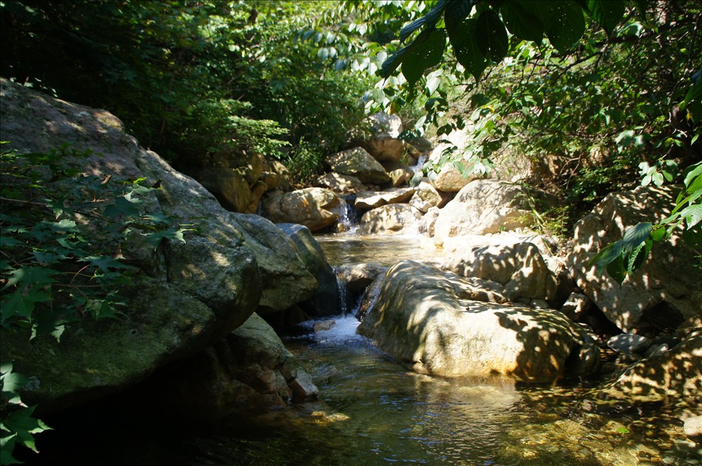 DSC01472.JPG