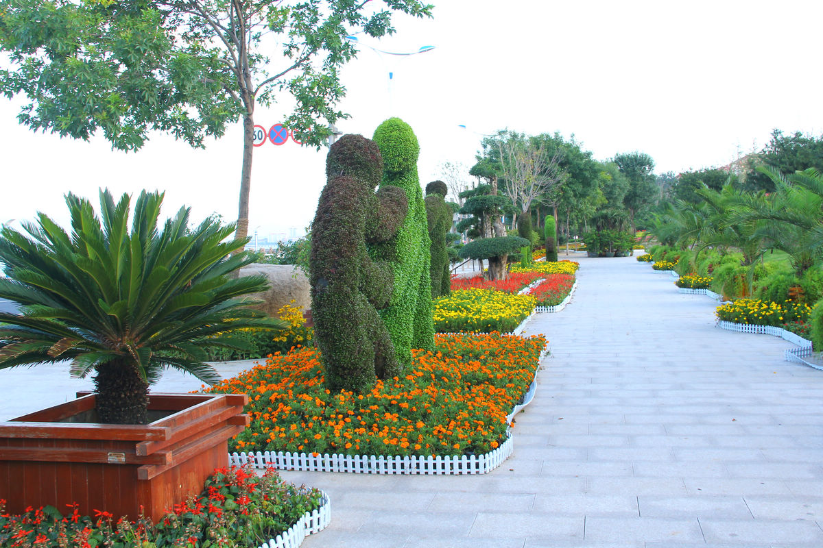 海滨中路景观 091-02.jpg
