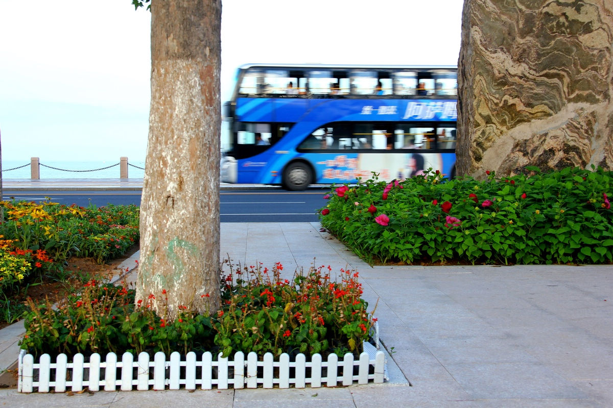 海滨中路景观 089-02.jpg