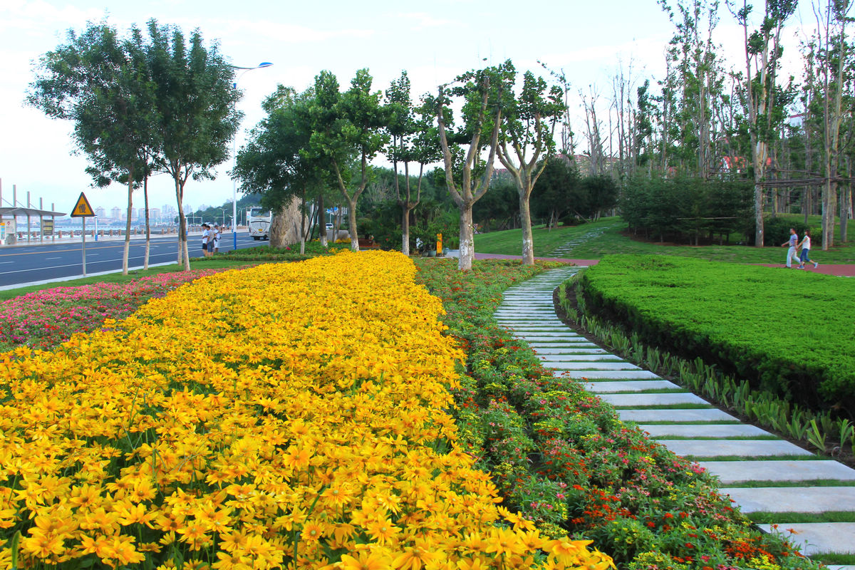 海滨中路景观 093-02.jpg