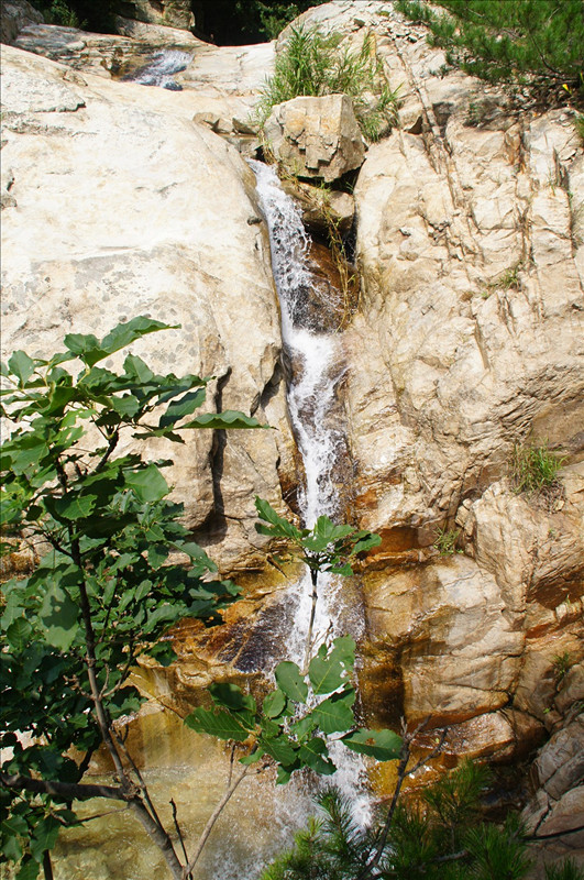 dsc01504_副本.jpg