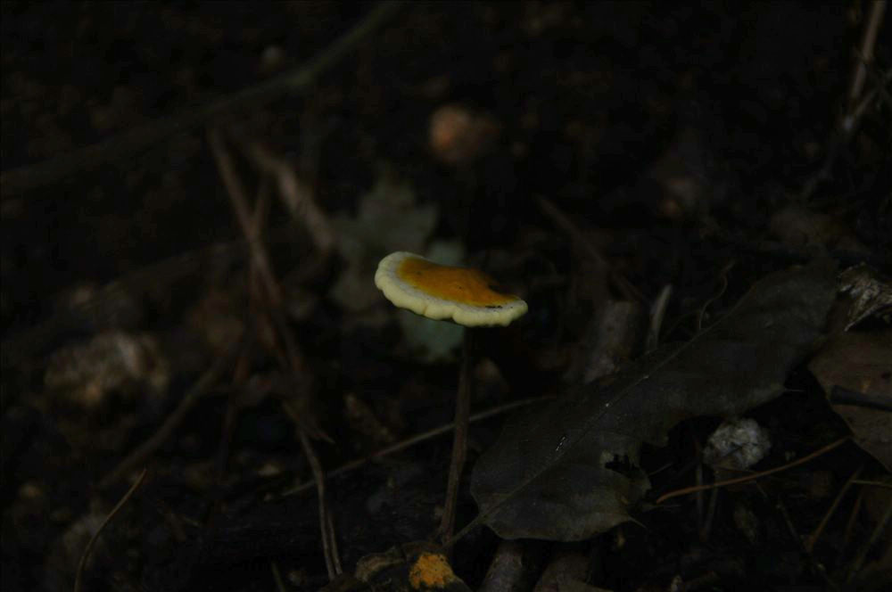 DSC01511.JPG