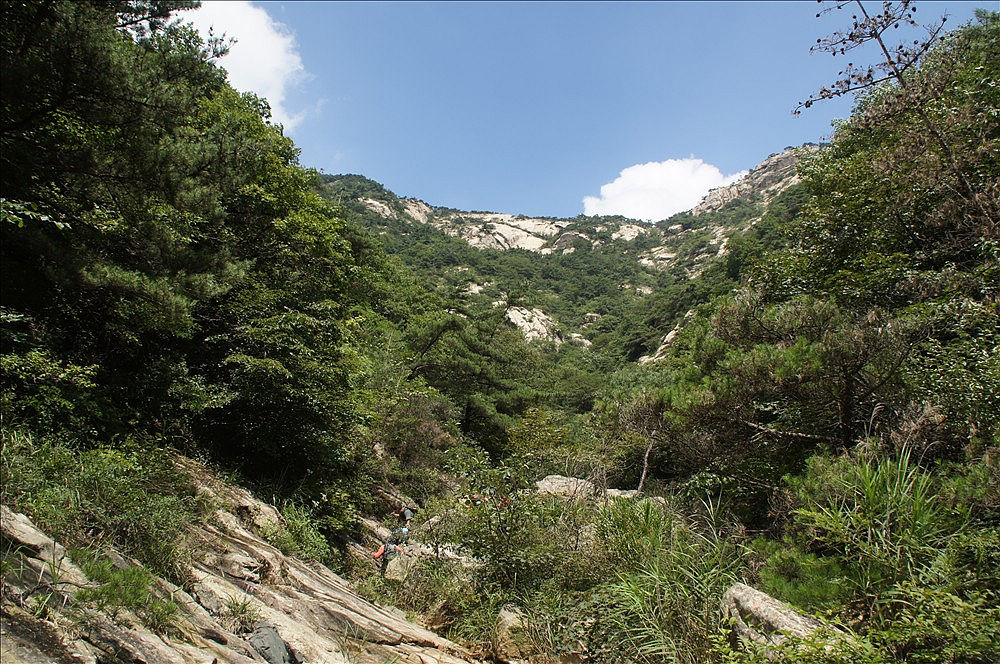 DSC01566.JPG