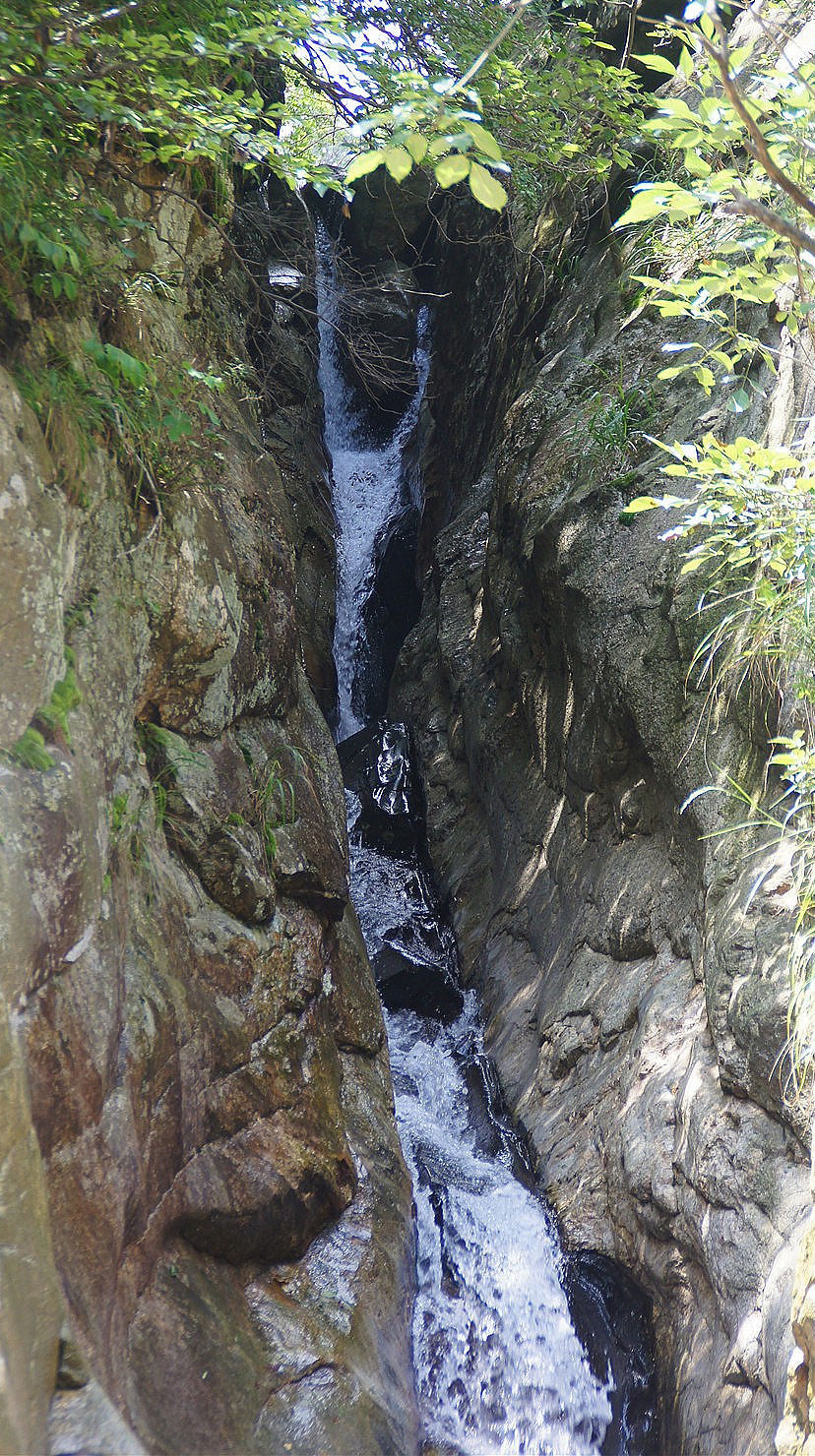 DSC01618.JPG